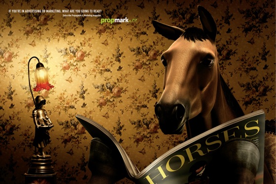 horse.jpg