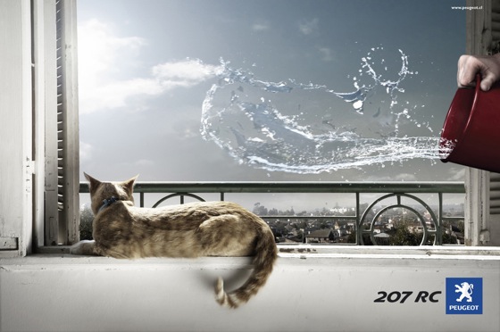 peugeotcat-1.jpg