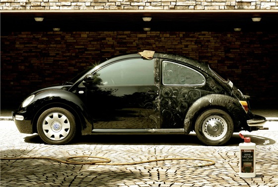 amway_beetle.jpg