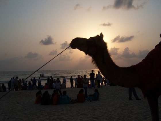 Malpe Beach.jpg