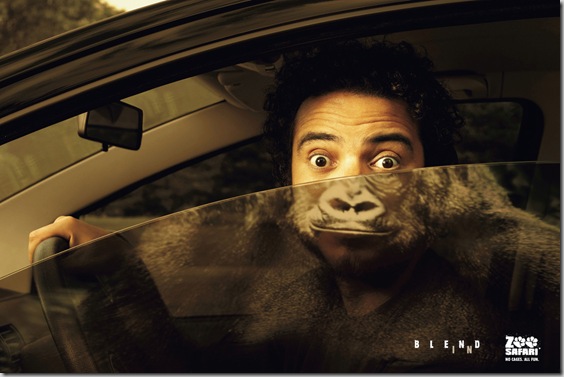 zooGorilla