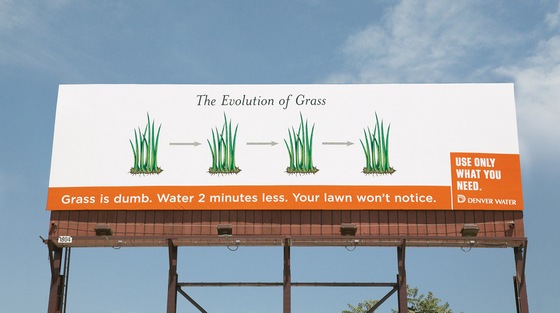 DW-Evolution-Grass DW-Evolution-Grass