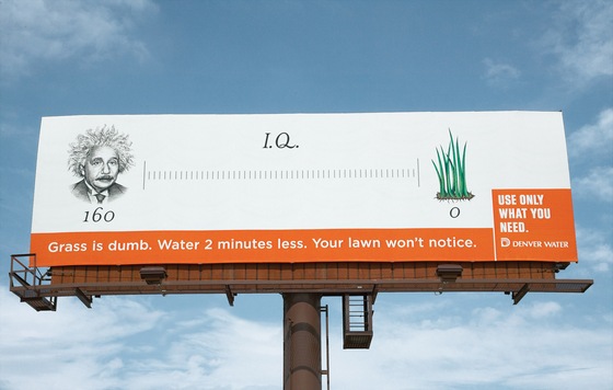 DW-GrassISDumb-IQ DW-GrassISDumb-IQ
