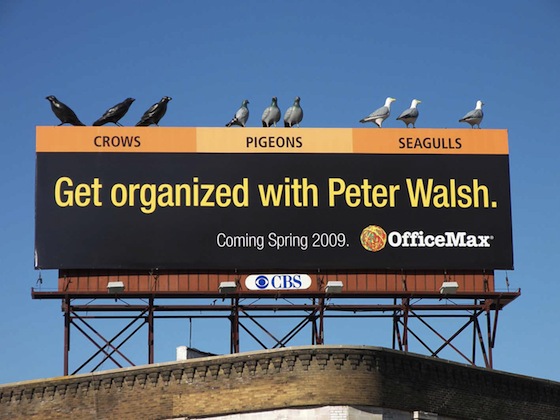 Officemax organized.jpg