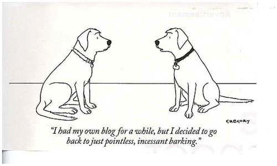 dog-blog1 dog-blog1