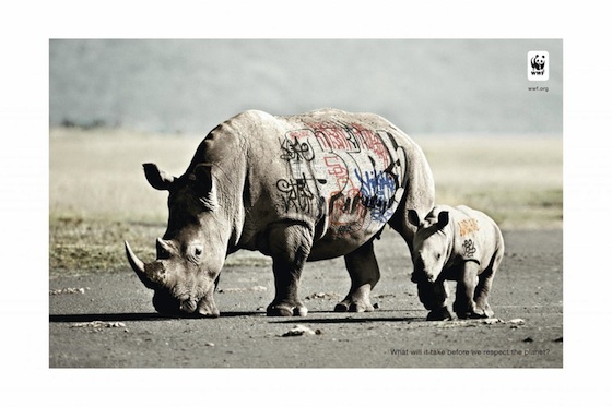 BIODIVERSITY AND BIOSAFETY AWARENESS- RHINOCEROS